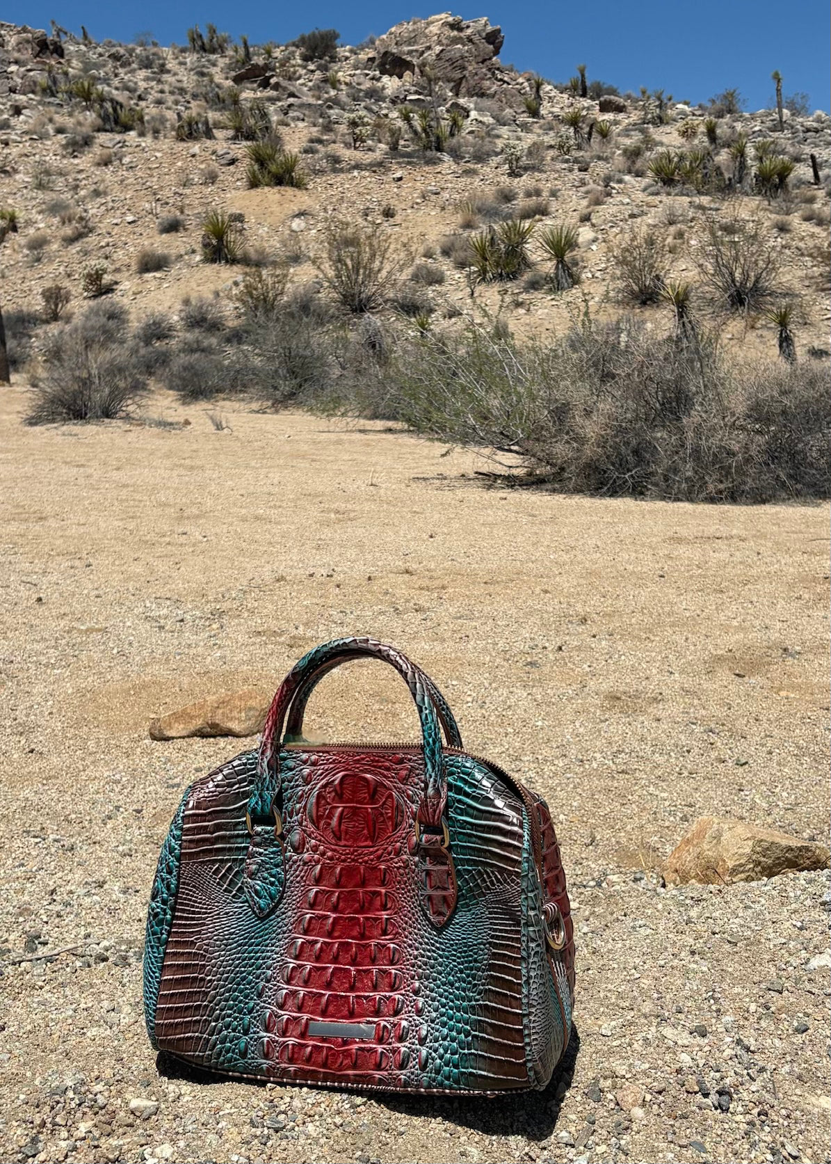 Blue and Red Snakeskin Bag