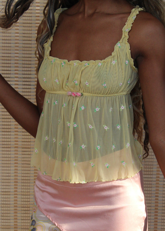 Victoria's Secret Sheer Mesh Embroidered Top