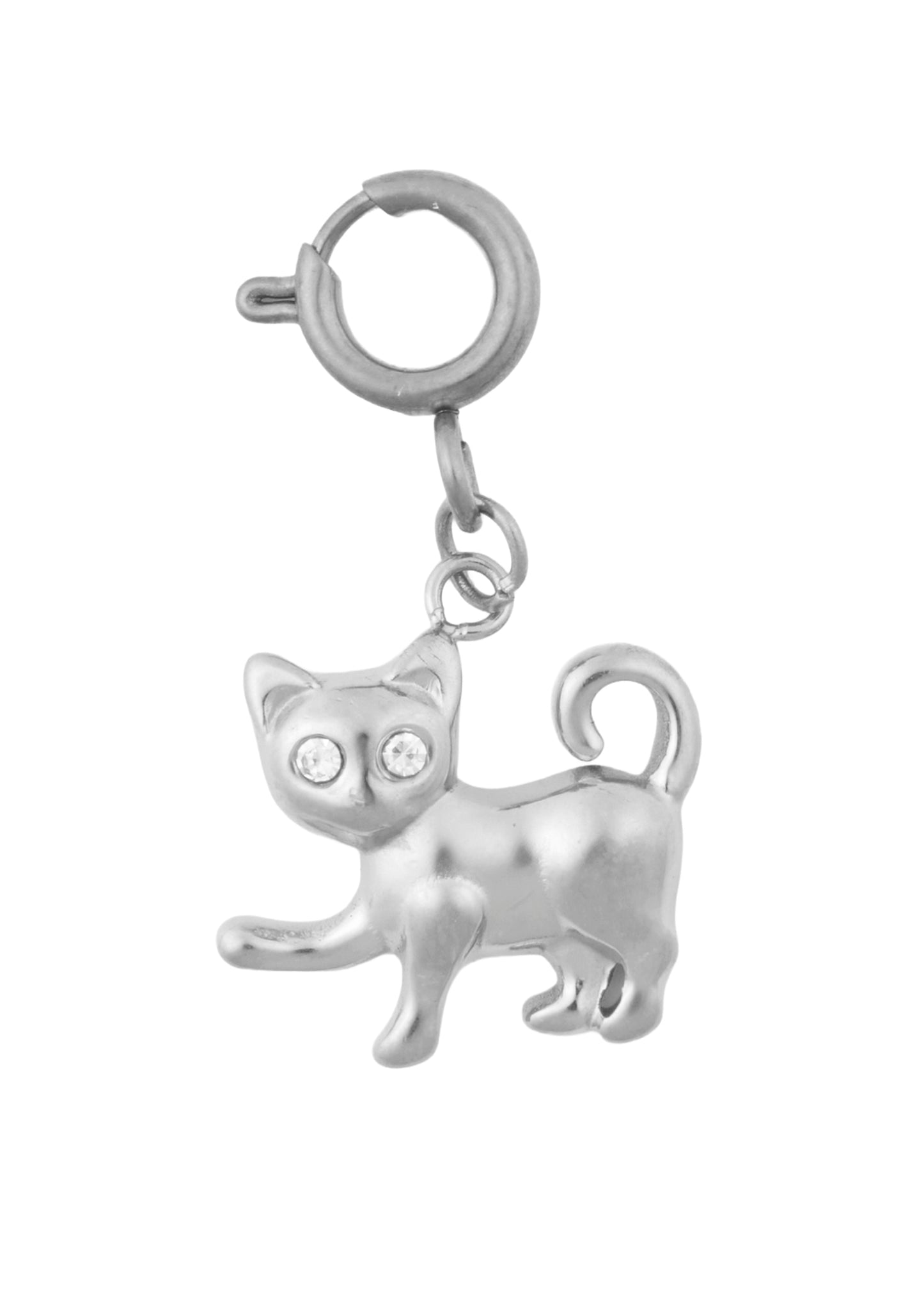 Cat Charm