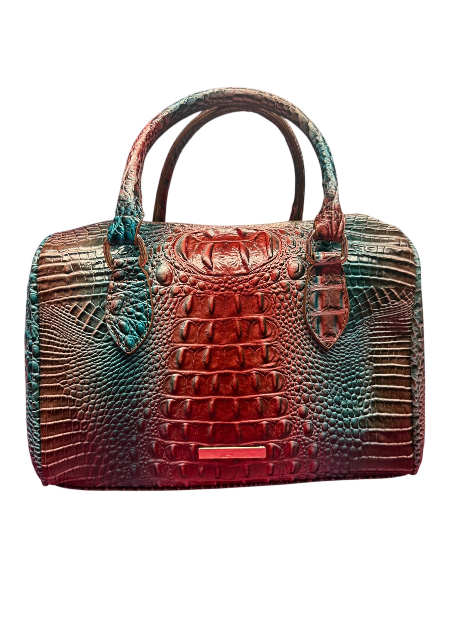 Blue and Red Snakeskin Bag