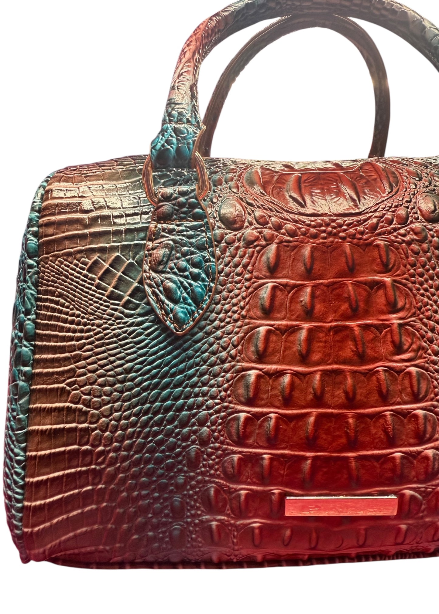 Blue and Red Snakeskin Bag