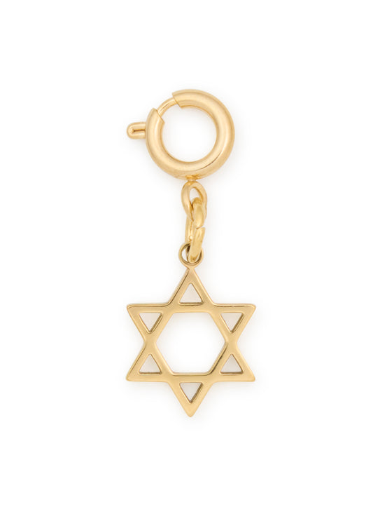 Star of David Charm