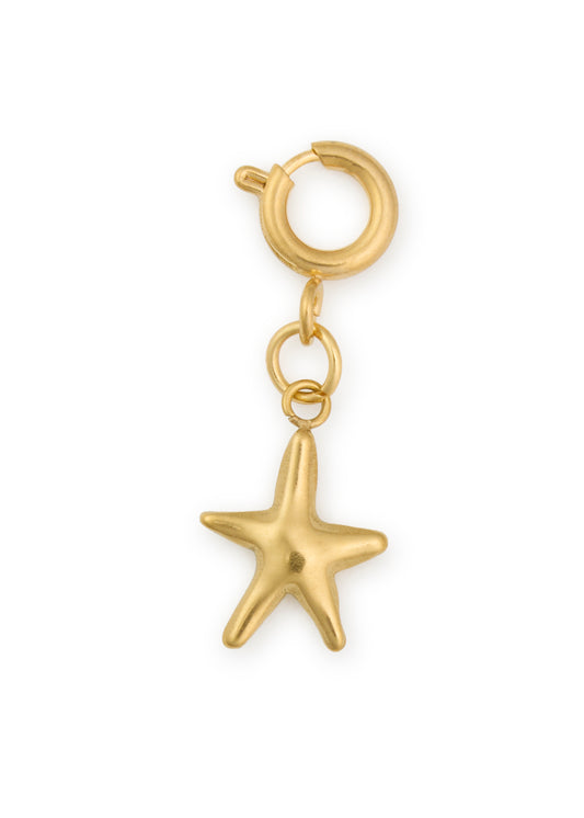 Lucky Star Charm