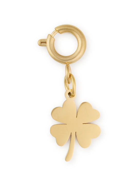 Lucky Clover Charm