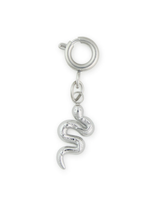Silver Serpent Charm