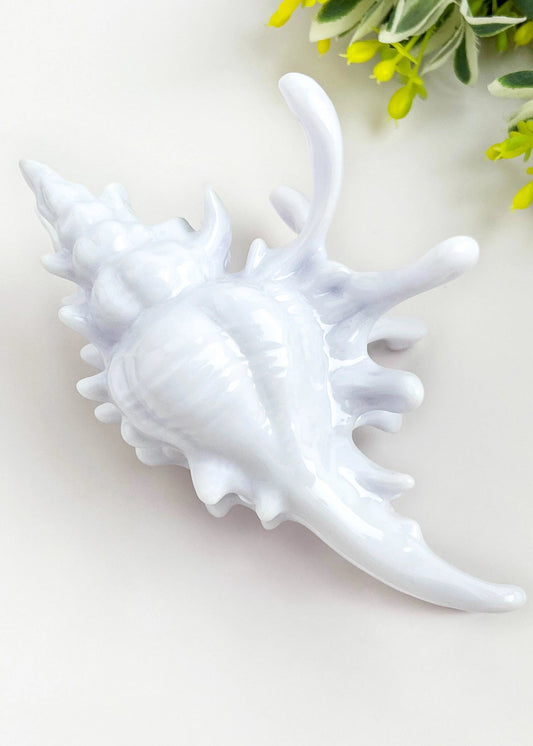Seashell Hair Claw Clip