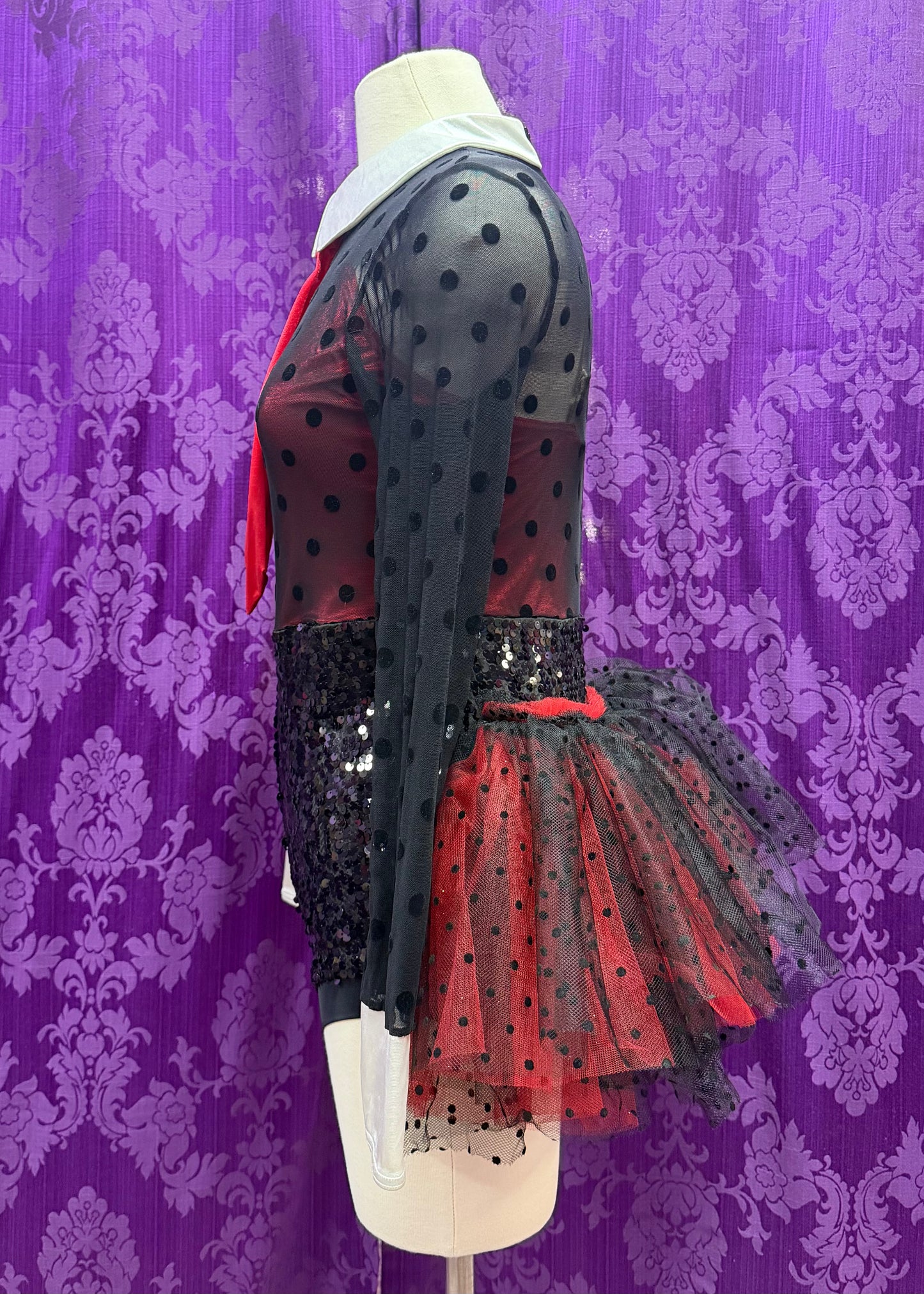 Ladybug Costume
