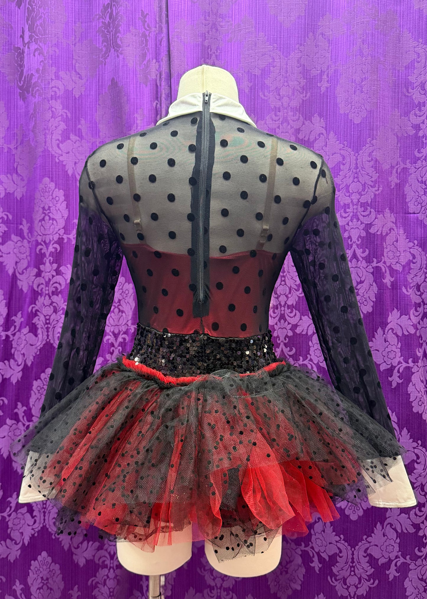 Ladybug Costume