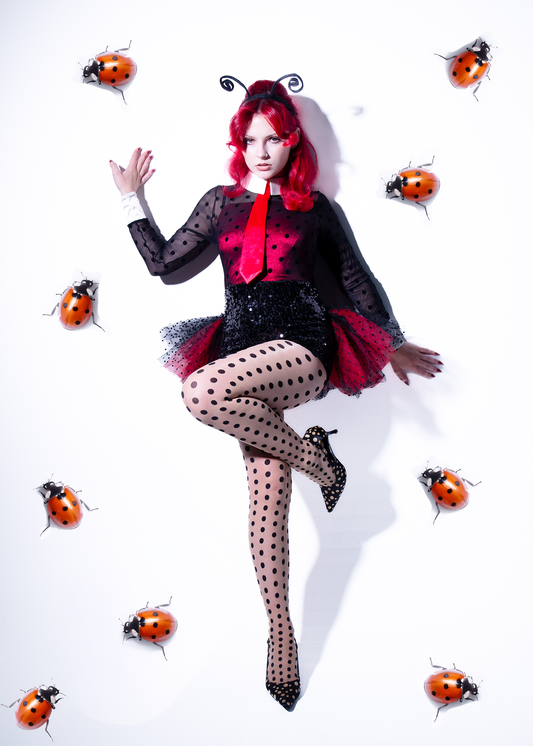 Ladybug Costume