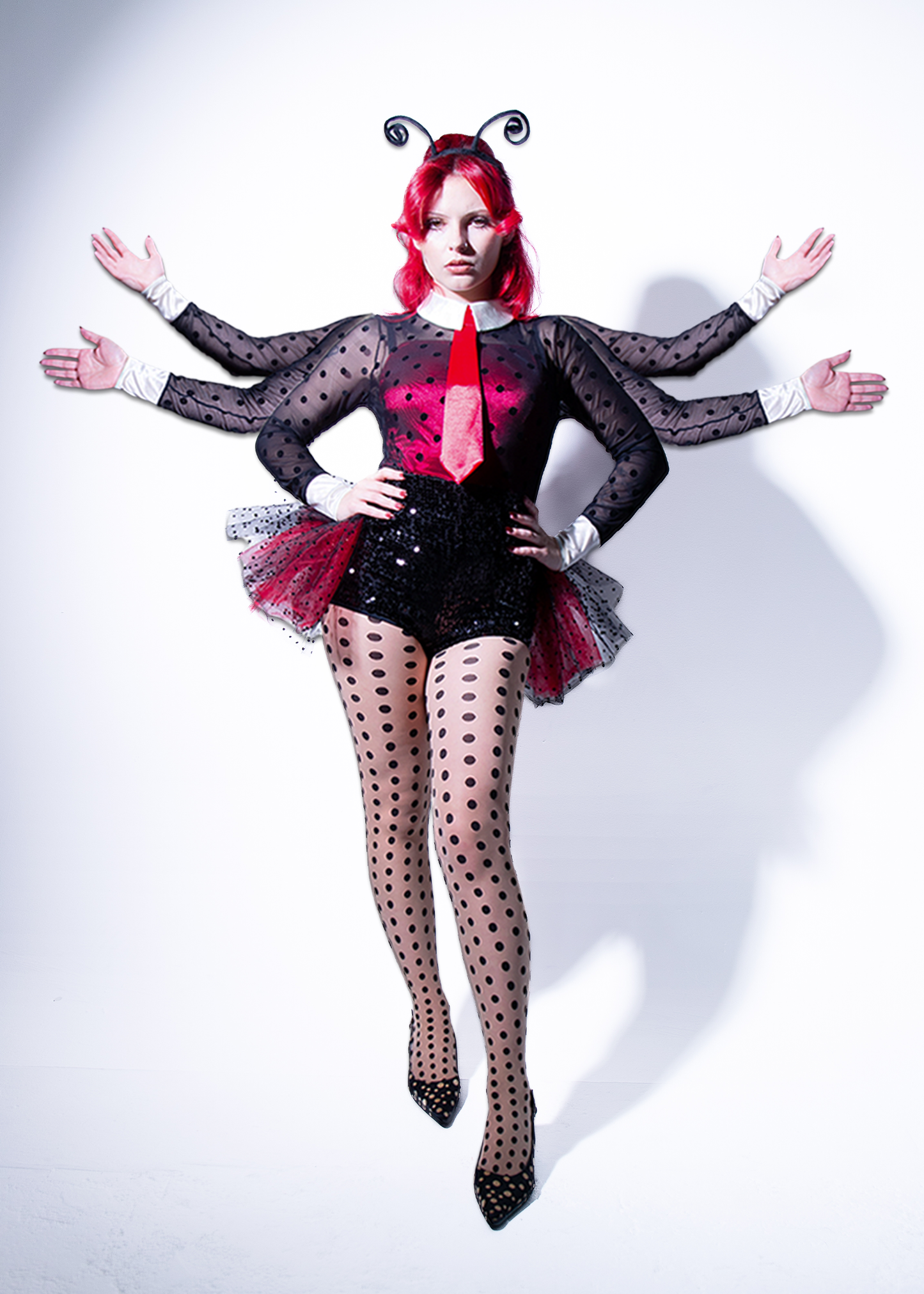 Ladybug Costume