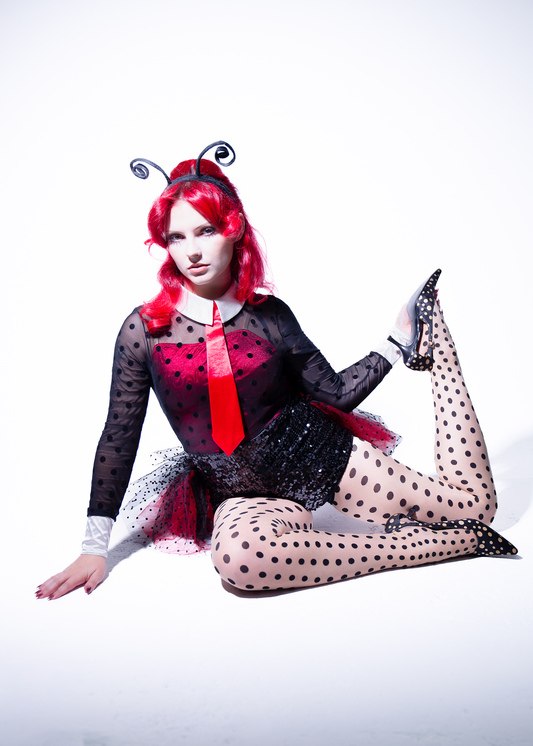 Ladybug Costume
