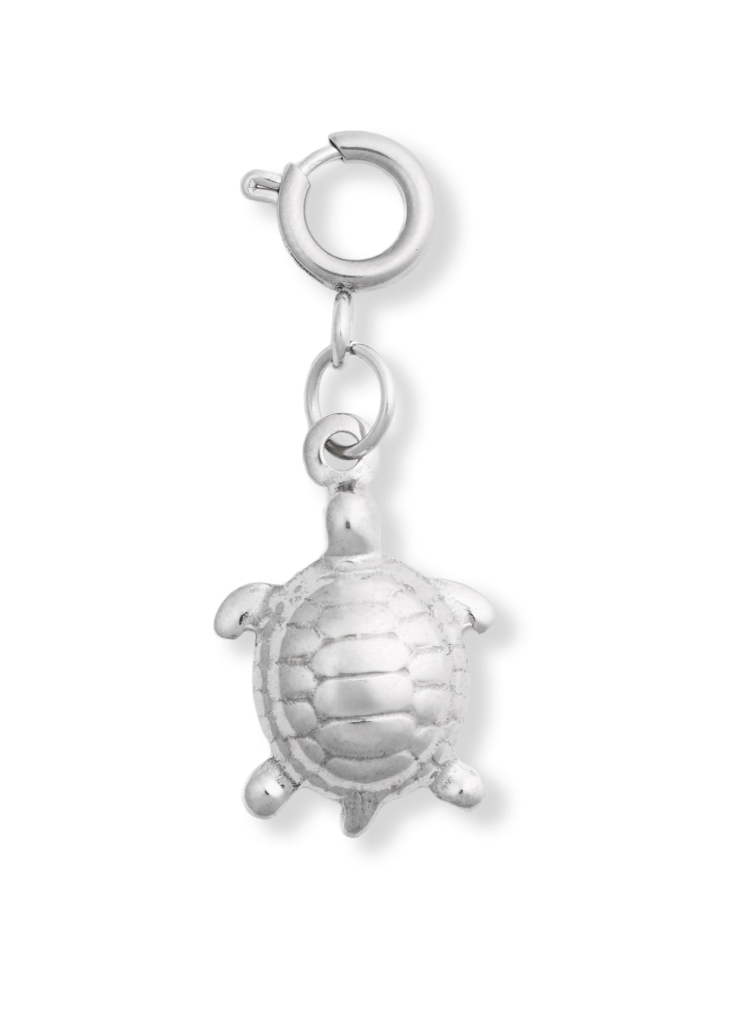Sea Turtle Charm