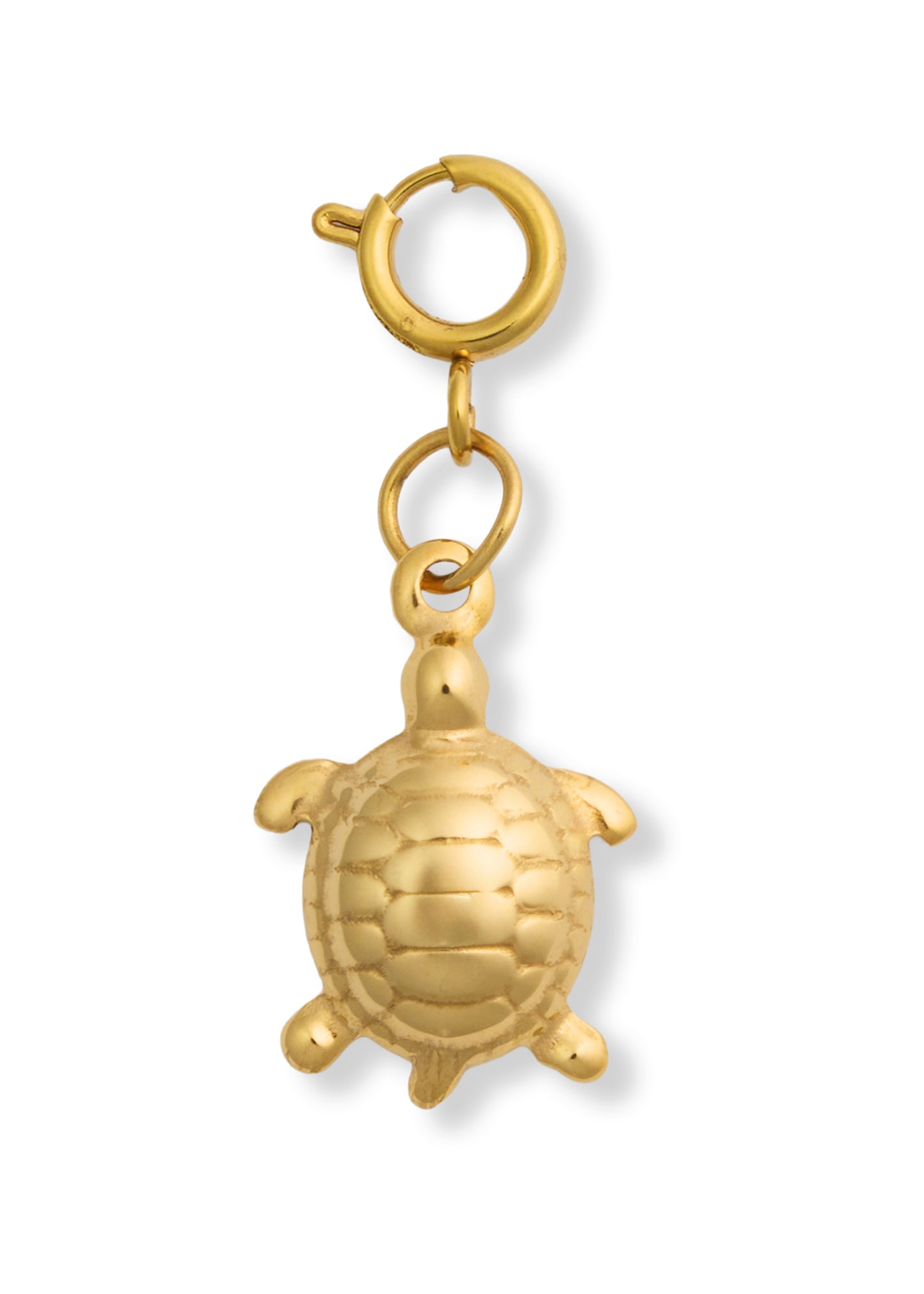 Sea Turtle Charm