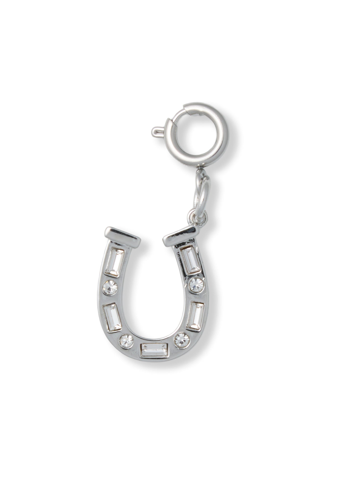 Horseshoe Charm