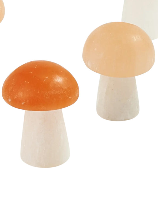 Selenite Mushroom